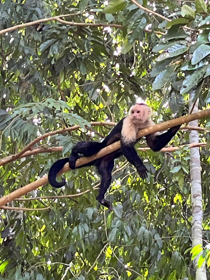 🌴Mamá merece estar en su lugar favorito🌴